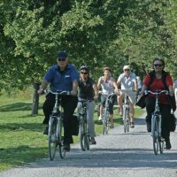 Groep fietsers